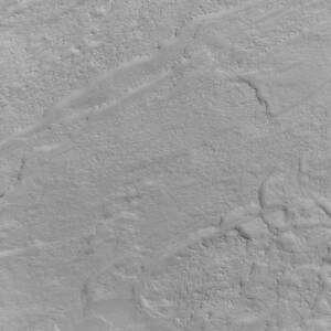 GL-1114